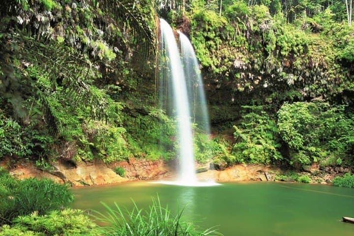 Half-Day Lambir Hills Hike & Waterfall Swim from Miri