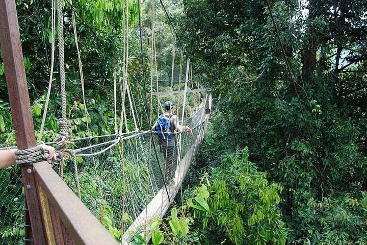 4-Day Taman Negara Jungle Trek: Canopy Walk, River Rafting & Orang Asli Visit from Kuala Lumpur