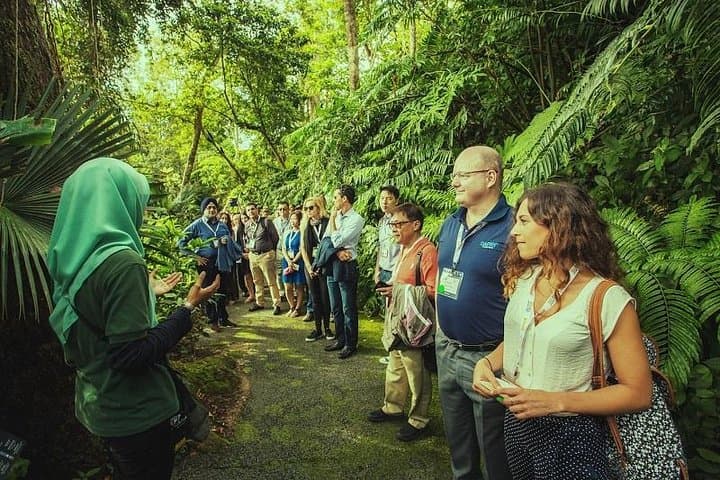 Panoramic Penang Hill & The Habitat: Canopy Bridges, 360° Views & Rainforest Trails photo 2