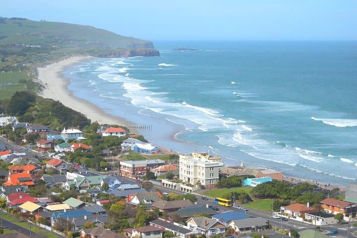 Private Dunedin & Otago Peninsula Tour — Royal Albatross, Larnach Castle & City Highlights photo 1