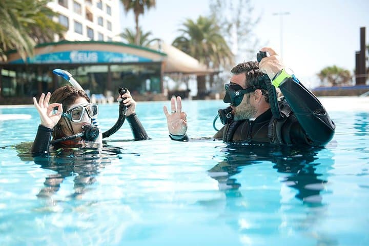 Introductory Scuba Dive in Sydney: 3-Hour Try Dive with Expert Instructors