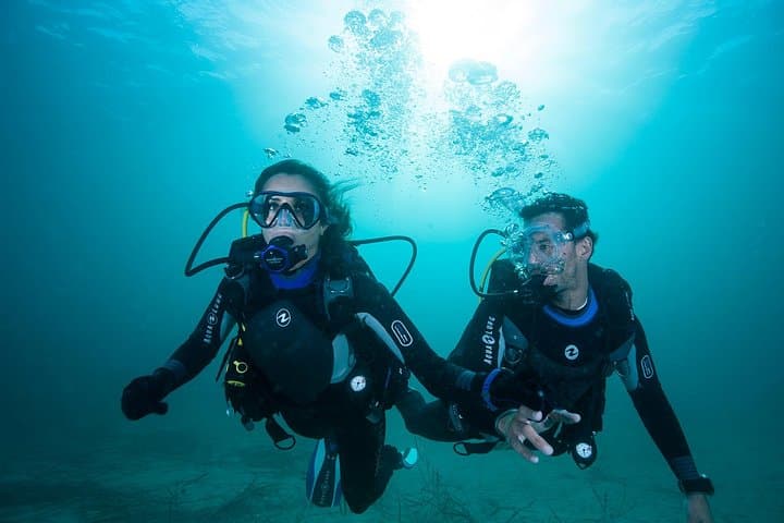 Introductory Scuba Dive in Sydney: 3-Hour Try Dive with Expert Instructors photo 2