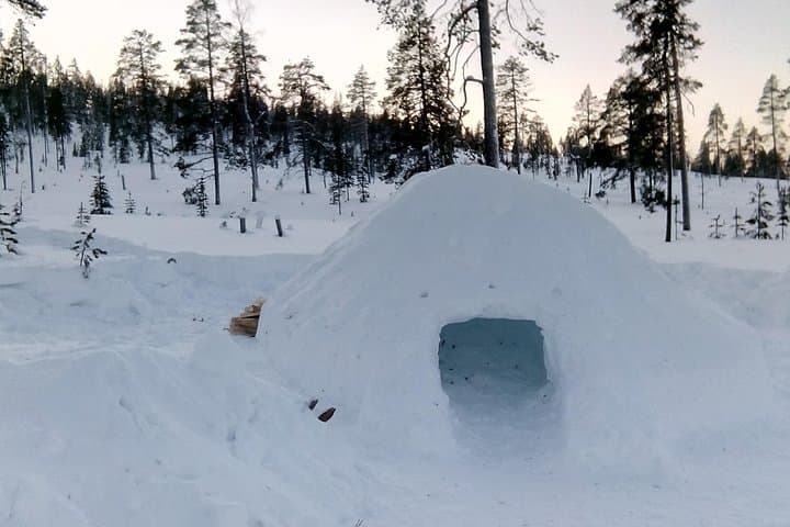 Build a Snow Igloo in Rovaniemi — Family Lapland Igloo-Building Experience photo 2