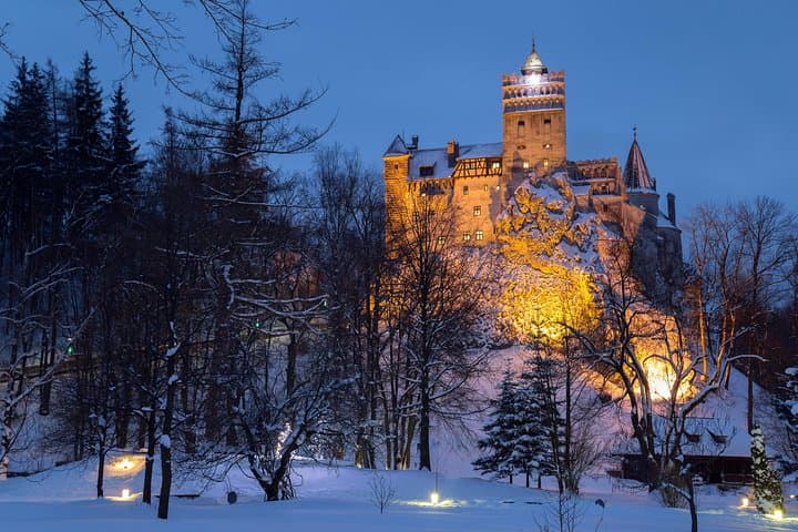 Bran Castle & Romania's Biggest Bear Sanctuary: Day Trip from Brașov photo 2