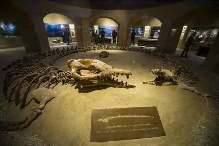 Fayoum Oasis & Wadi El Hitan Day Tour from Cairo — Lakes, Fossils and Greco-Roman Ruins photo 2