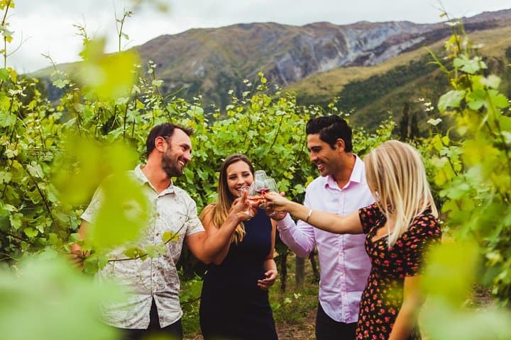 Gibbston Wine Tour: Premium Queenstown Tasting at 4 Wineries