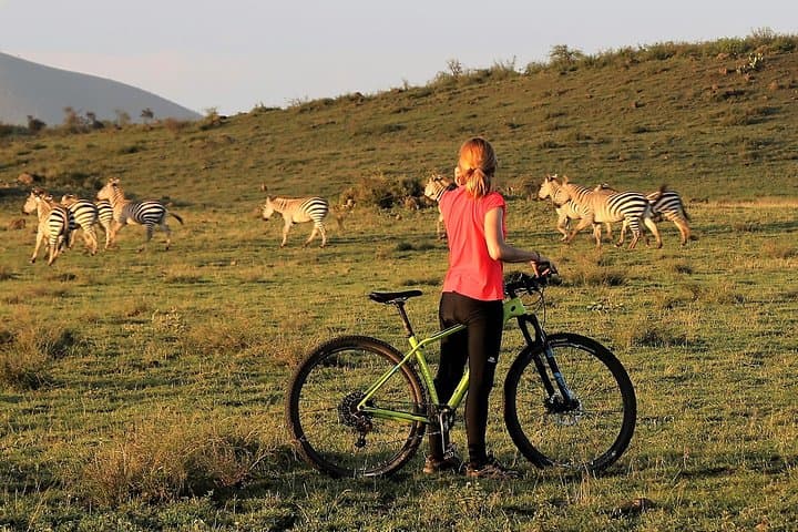 One-Day Walking and Bike Safari in Arusha National Park — Ride Between Volcanoes and Giraffes