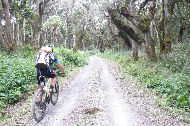 Kilimanjaro Shira Route: One-Day Mountain Bike Adventure to Shira II photo 3