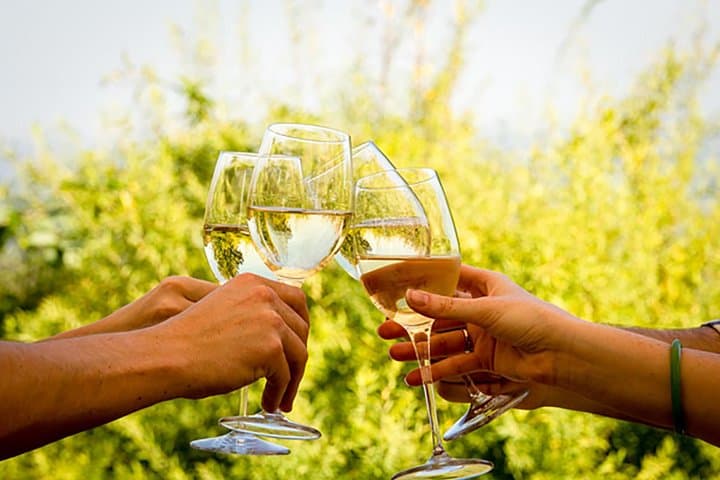 Cape Winelands Day Tour: Stellenbosch, Franschhoek & Paarl Wine Tastings