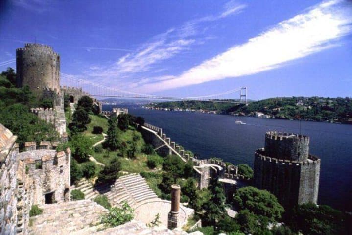 Bosphorus Cruise and Dolmabahçe Palace: Two-Continent Istanbul Day Tour photo 1