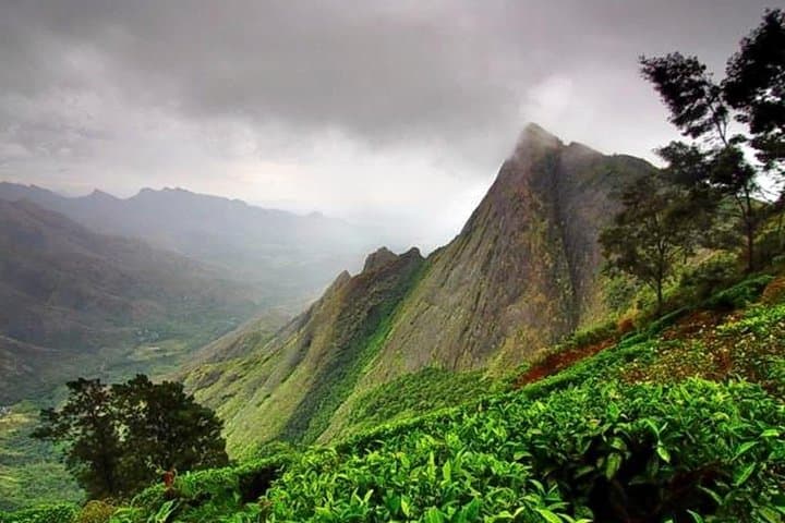 Munnar Tea Estate Private Tour: Full-Day Sightseeing, Tea Museum & Tasting photo 3