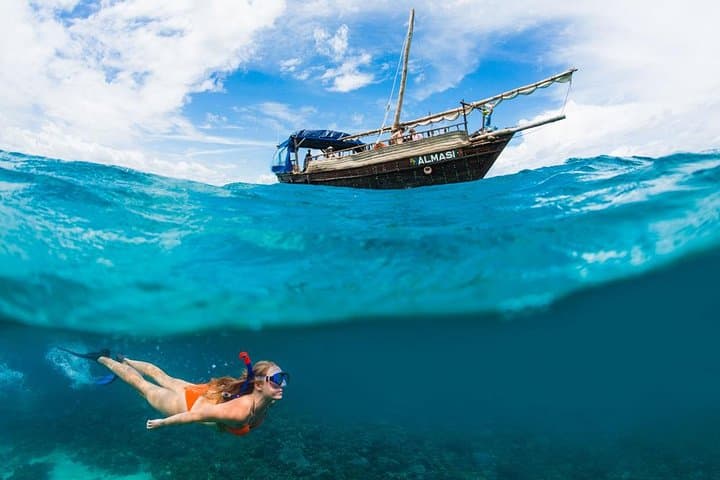 Snorkel Kisite Marine Park: Dhow Safari & Wasini Island Seafood Lunch from Diani