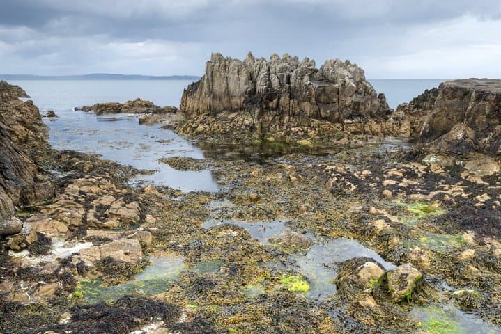 Game of Thrones and Giant's Causeway: Full-Day Tour from Belfast photo 2