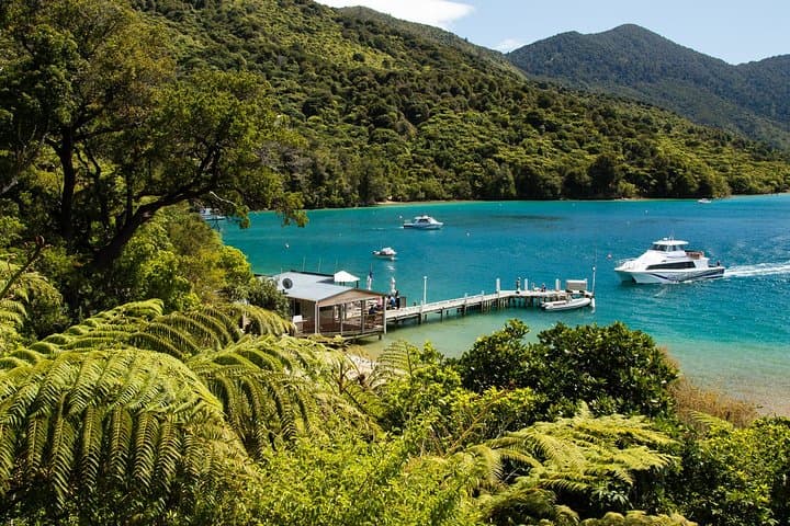 Marlborough Sounds Delivery Cruise: 3.5-Hour Queen Charlotte Sound Experience photo 2