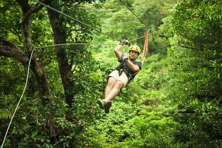 Antigua Zipline Canopy Adventure from St John's — Half-Day Rainforest Ziplines