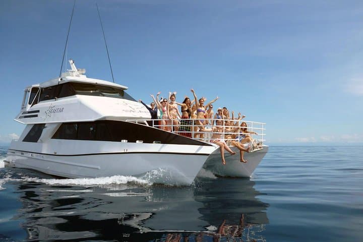 Luxury Outer Great Barrier Reef Snorkel & Michaelmas Cay Day Cruise from Cairns