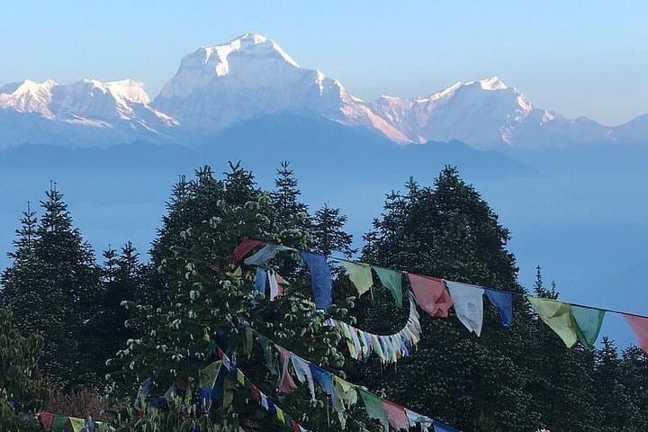 Poon Hill Panorama Trek: 6-Day Annapurna Sunrise Trek from Kathmandu photo 3