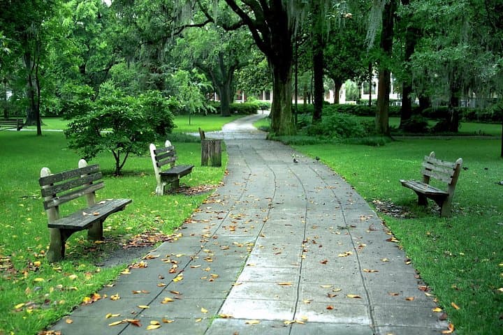 Savannah Stroll: 90-Minute Guided Historic Walking Tour of Savannah's Squares photo 2