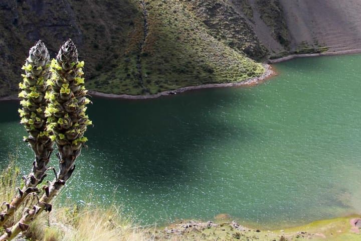 5-Day Ancascocha Trek to Machu Picchu: Alternative Inca Route through High Andean Passes