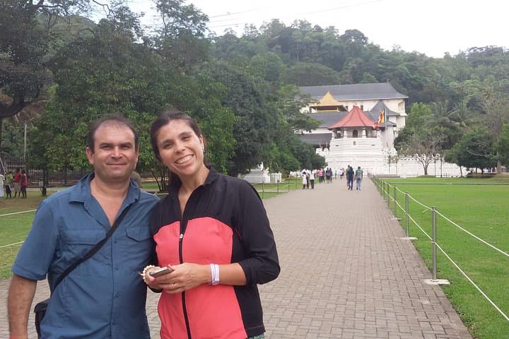 Kandy Private Day Tour from Colombo — Pinnawala Elephants, Tea & Temple