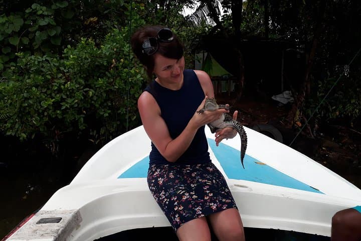 Bentota River Safari: Mangrove Lagoon Boat Tour & Wildlife Cruise photo 2