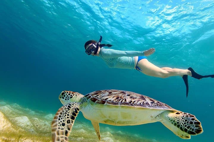 Snorkeling Hikkaduwa: Coral Gardens, Turtles & Clear Coastal Swims photo 1