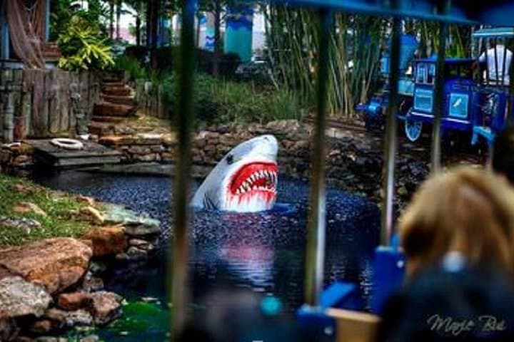 Houston City Tour & Downtown Aquarium All-Rides Pass — Guided Double-Decker Tour + Aquarium Access photo 5
