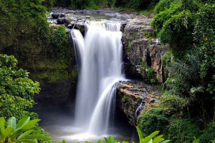 Ubud Cultural Day Tour: Monkey Forest, Tegalalang & Tegenungan Waterfall photo 5