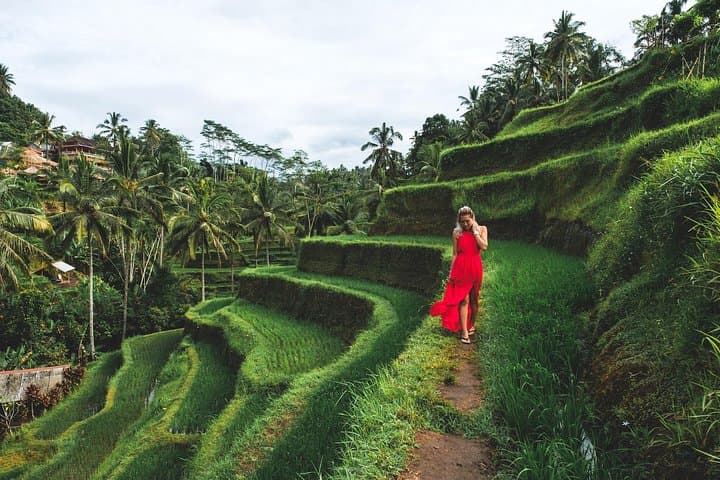 Ubud to Tanah Lot: Private Romantic Bali Day Tour