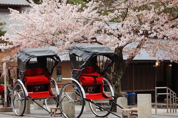 Custom Full-Day Kyoto Walking Tour: Private One-Day Itinerary & Tips