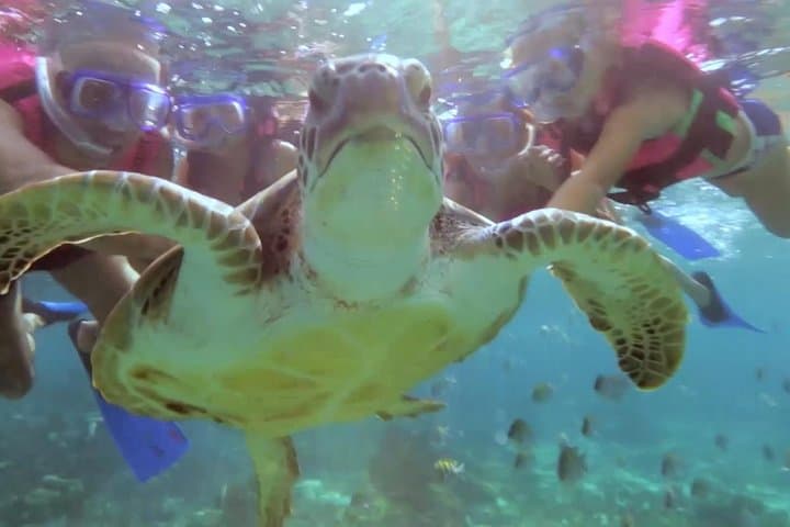 Riviera Maya Snorkeling: Puerto Morelos Boat Trip to the Mesoamerican Reef photo 2