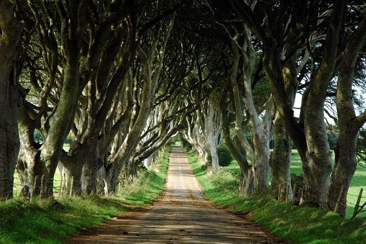 From Belfast to Giant's Causeway: Game of Thrones Filming Locations Day Tour