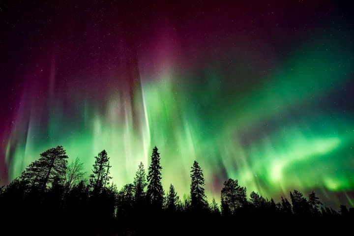 Aurora Viewing Lodge: Warm Northern Lights Experience Near Fairbanks photo 3
