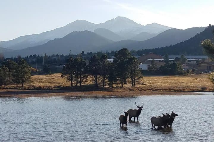 Exploring Rocky Mountain National Park and Estes Park: Winter & Spring Adventure from Denver photo 3