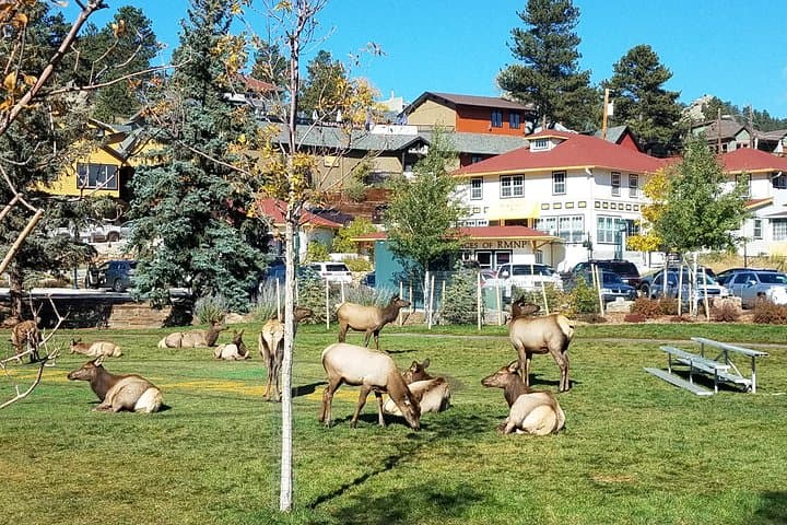 Trail Ridge Road Scenic Day Tour: Rocky Mountain National Park from Denver photo 2