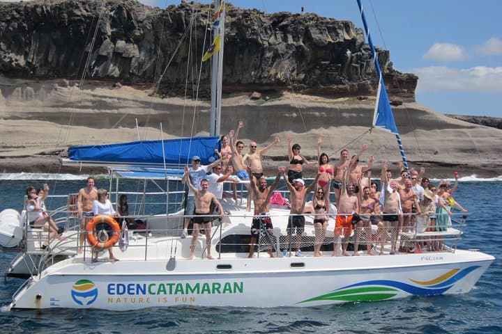 Catamaran Whale & Dolphin Tour from Puerto Colón — 2–3 Hour Cruises in Tenerife