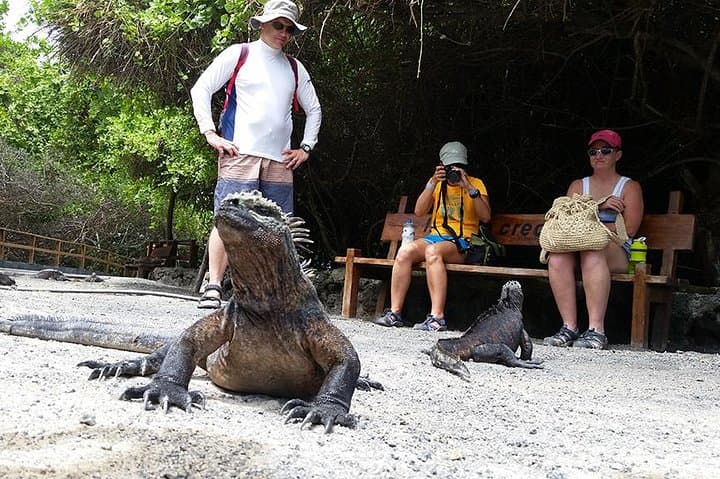 7-Day Galapagos Essentials: Wildlife, Snorkeling & Highlands photo 3