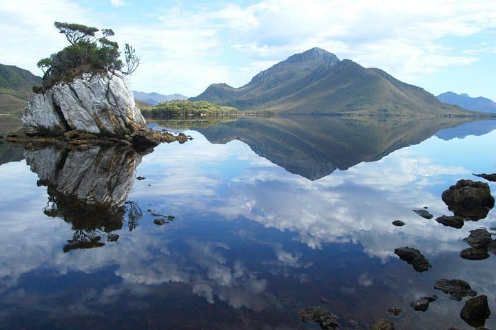 Southwest Tasmania Wilderness Experience — Scenic Flights, Bathurst Harbour Cruise & Bush Walk photo 2