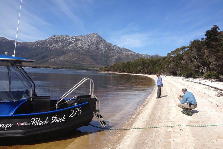 3-Day Southwest Wilderness Camping: Melaleuca, Bathurst Harbour & Port Davey
