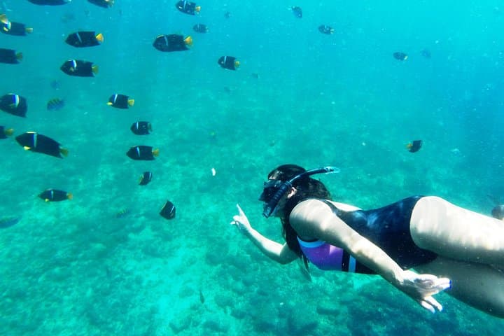 Private Snorkeling Adventure to Los Arcos & Colomitos Beach — Puerto Vallarta Marine Park photo 3