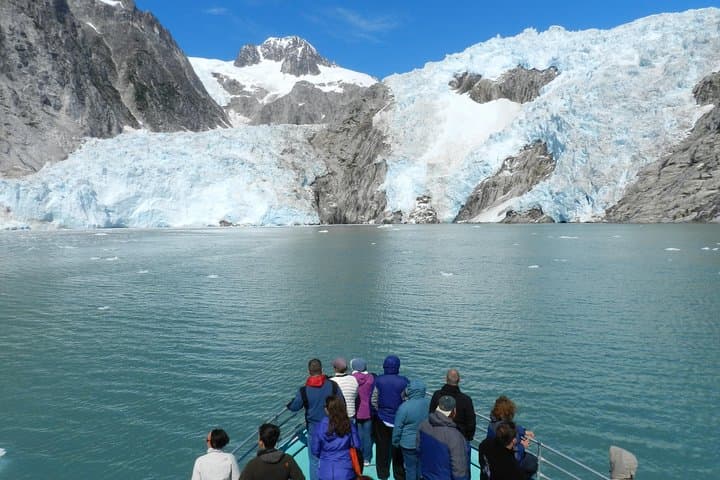 Northwestern Fjord Glacier & Wildlife Cruise from Seward — Full-Day Kenai Fjords Adventure photo 2
