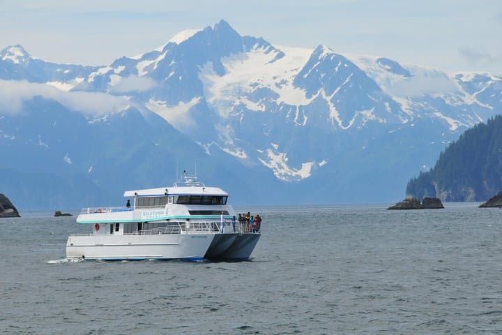 Northwestern Fjord Glacier & Wildlife Cruise from Seward — Full-Day Kenai Fjords Adventure photo 3