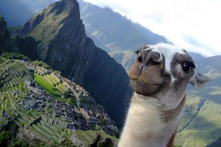 Salkantay Trek to Machu Picchu: 5-Day Guide from Cusco photo 5