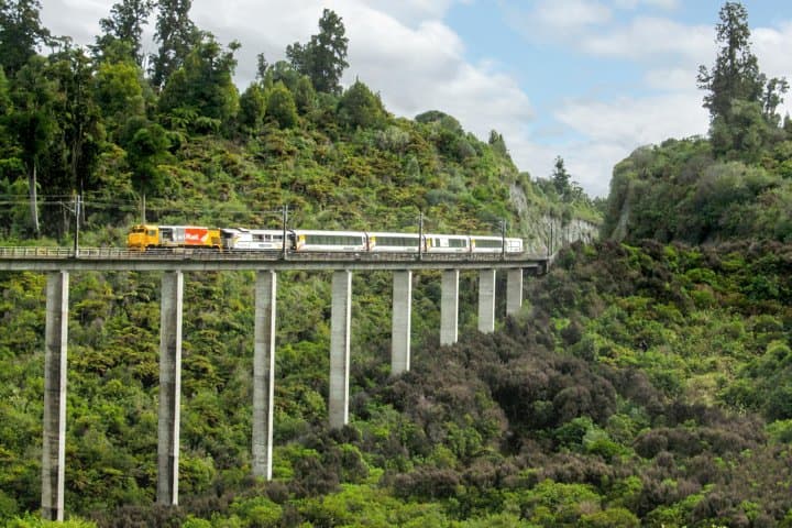 Northern Explorer: Scenic Train Journey from Wellington to Auckland photo 3