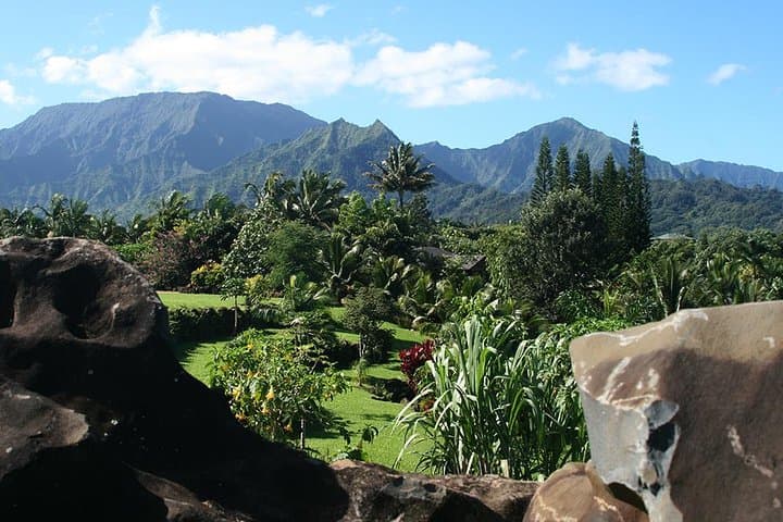 Princeville Botanical Gardens Walking Tour & Gourmet Chocolate Tasting, Kauai photo 2
