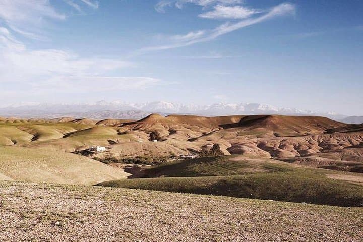 Agafay Desert & Atlas Mountains 4x4 Day Trip from Marrakech — Lalla Takerkoust & Berber Lunch