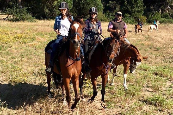 Horseback Picnic in Rome: Ride the Pineta di Castelfusano to Ancient Ostia