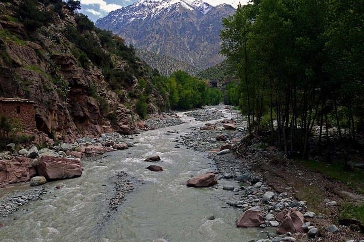 Day Trip from Marrakech to the Atlas Mountains: Valleys, Villages & Views photo 2