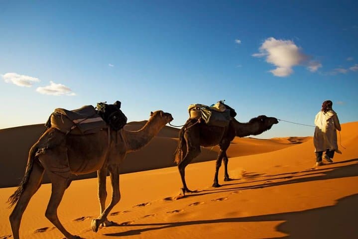 3-Day Merzouga Desert Tour from Marrakech — Camel Treks, Dunes & Kasbahs photo 2