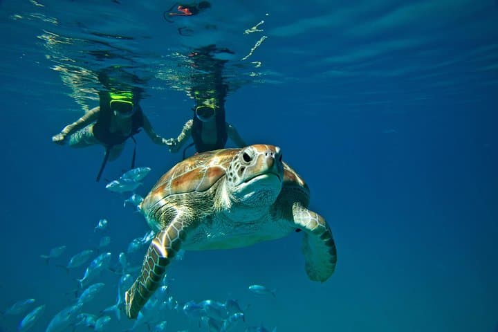 Catamaran Snorkel Cruise in Carlisle Bay, Barbados — Shipwrecks & Beach Stop photo 2